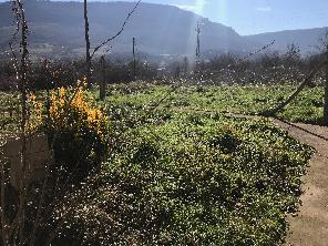 Jardín